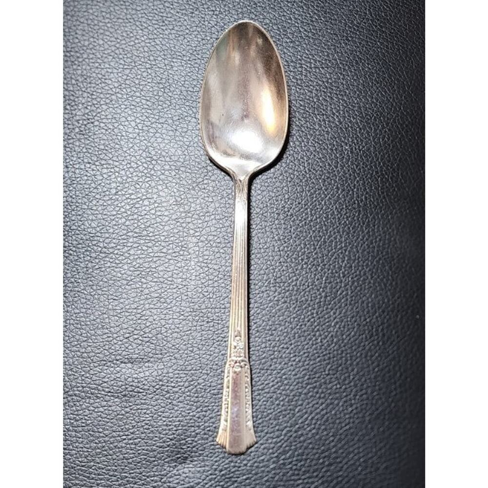 Wm Rogers Overlaid Silverplate Treasure Pattern Flatware Single Serving Spoon